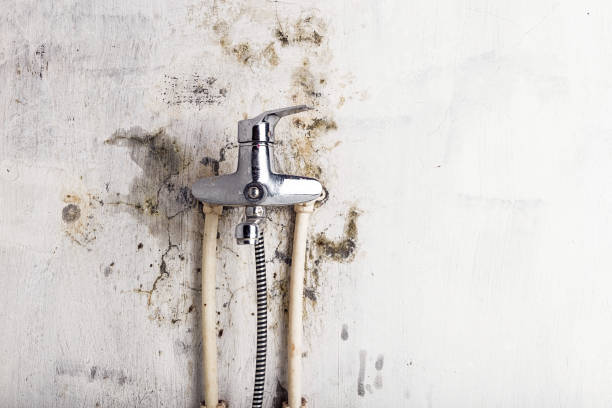 Best Commercial Mold Removal  in Dunnstown, PA