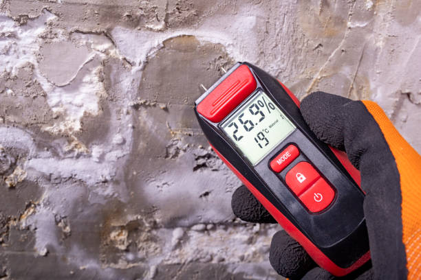 Best Attic Mold Removal  in Dunnstown, PA