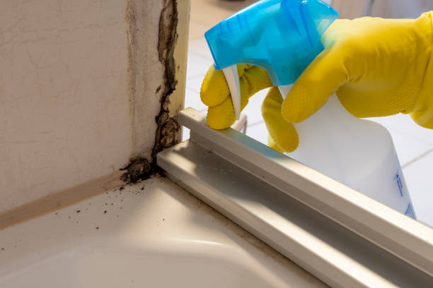 Best Office Mold Removal Services  in Dunnstown, PA