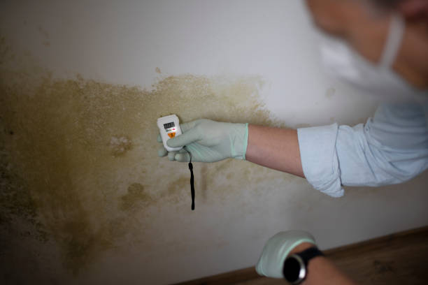 Water Damage Restoration in Dunnstown, PA