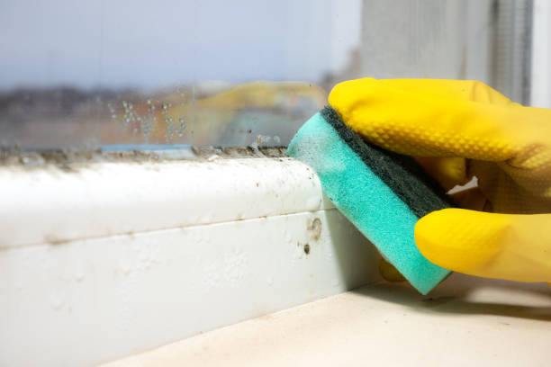 Best Certified Mold Removal  in Dunnstown, PA