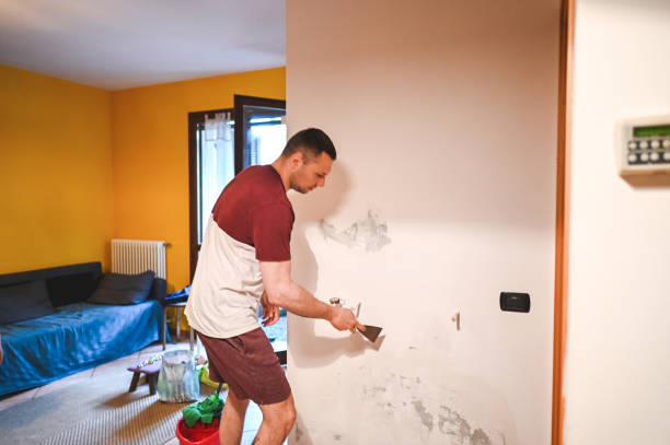 Best Affordable Mold Removal  in Dunnstown, PA