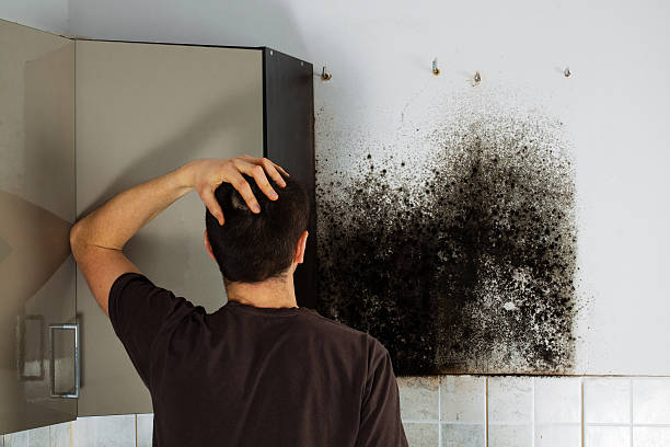 Best Residential Mold Removal  in Dunnstown, PA