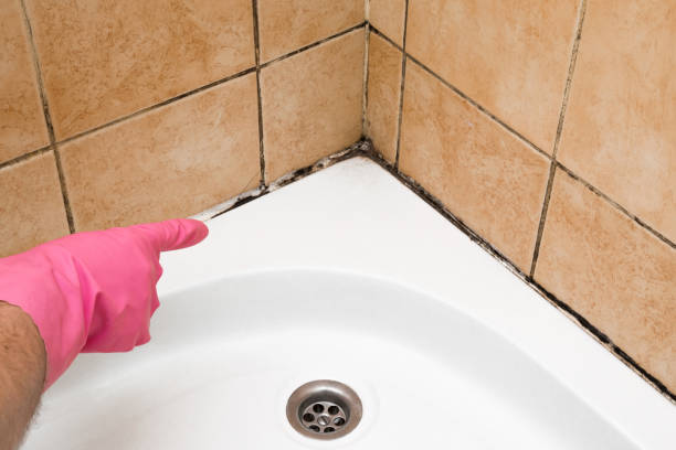 Best Mold Damage Repair  in Dunnstown, PA